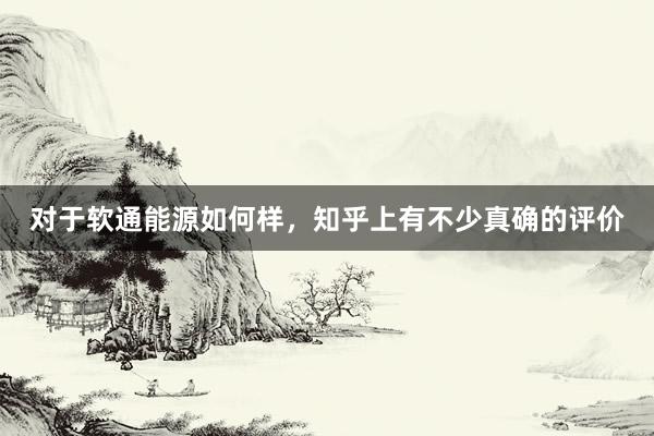 对于软通能源如何样，知乎上有不少真确的评价